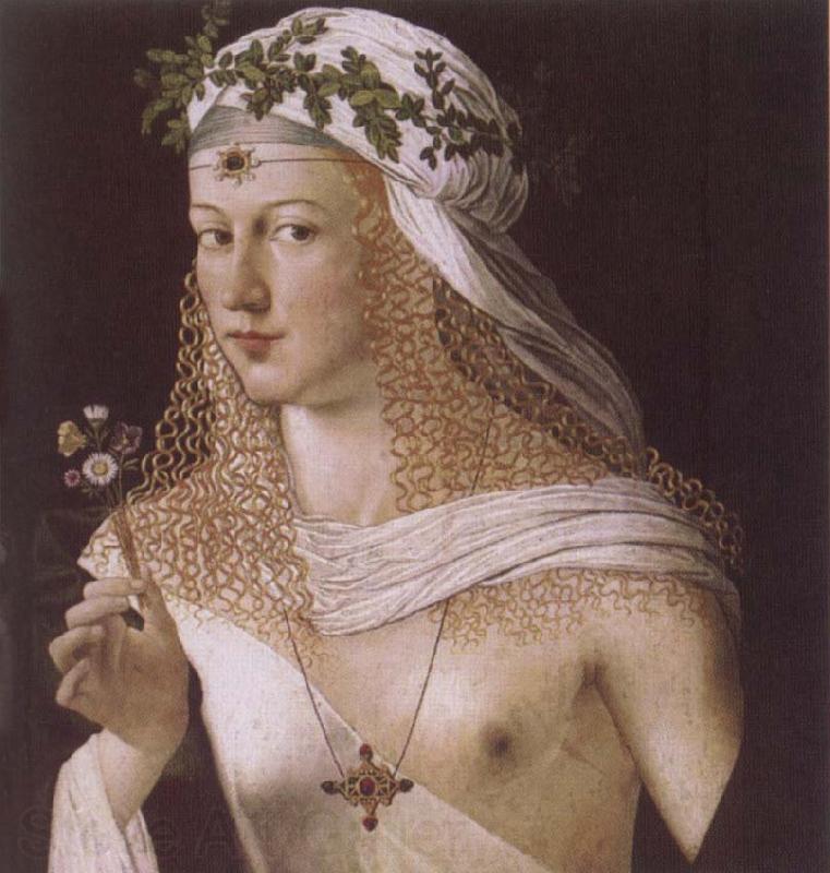 BARTOLOMEO VENETO Portrait of a Woman Spain oil painting art